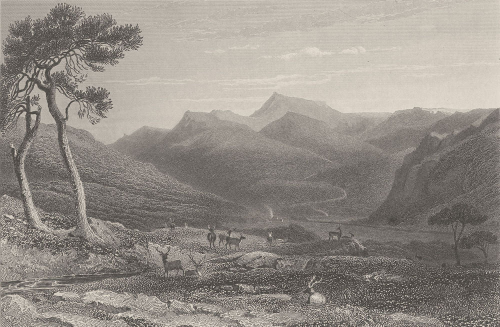 SCOTLAND. Lachin-Y-Gair, deer; Finden 1833 old antique vintage print picture